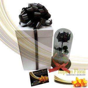 Rosa preservada negra